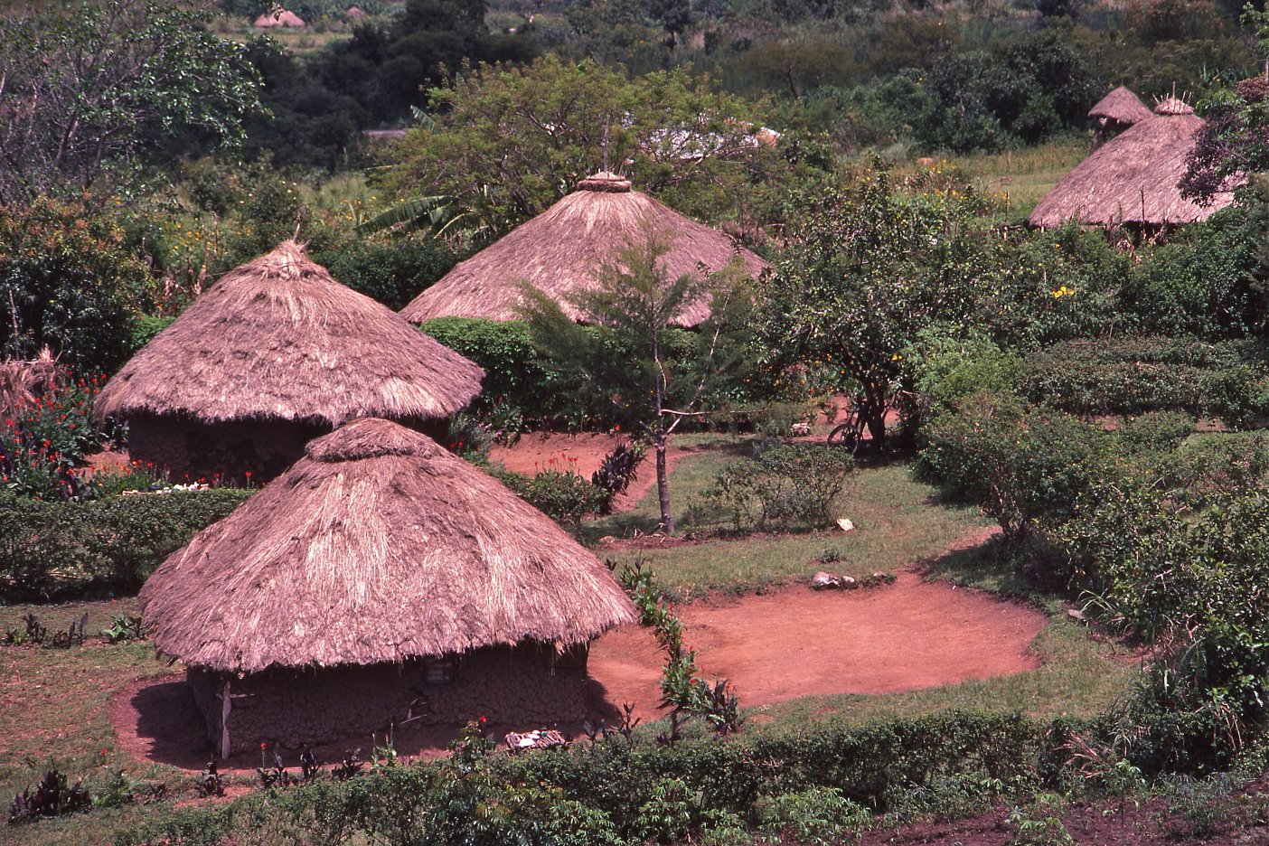 west african village life