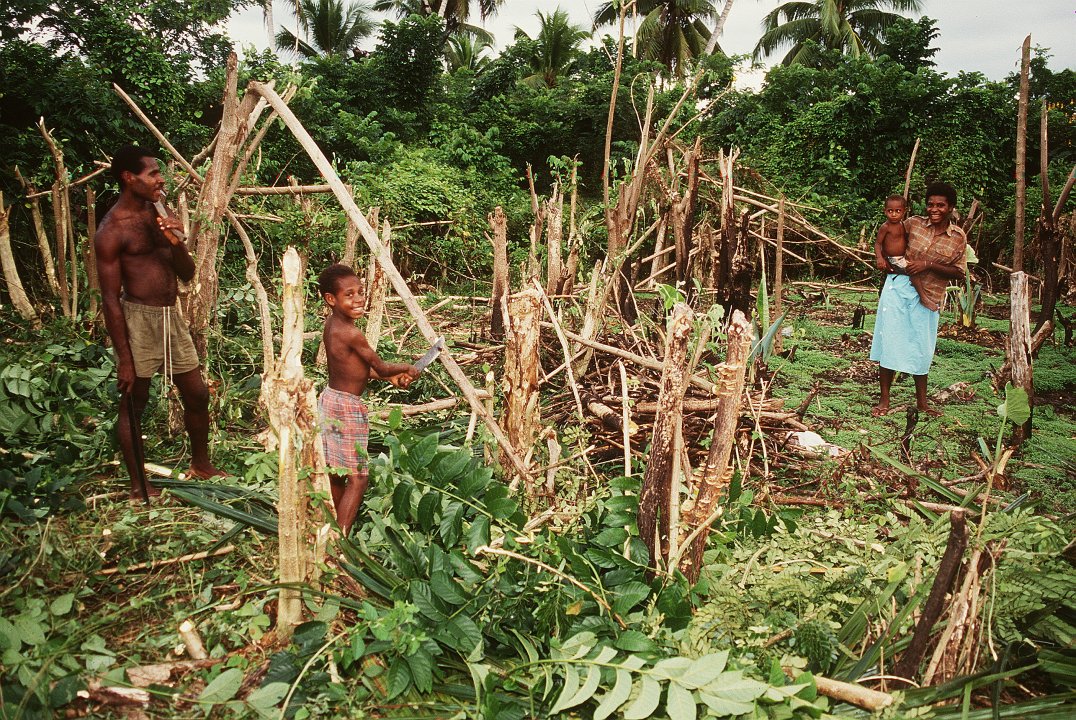 Shifting Cultivation Pictures